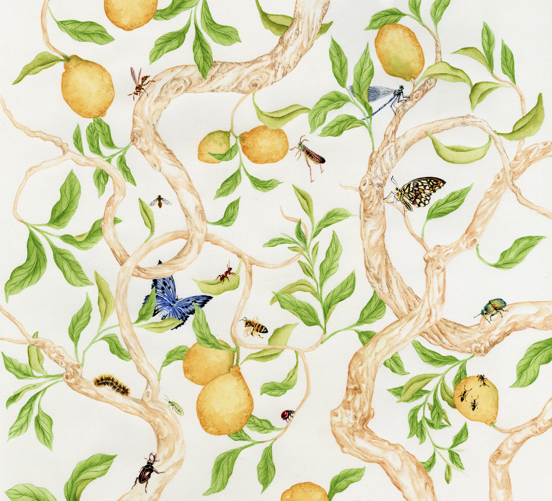 Hand painted silk wallpaper. The artwork is painted with watercolors and gouache in bright springtime colors. Stylized and twisting lemon branches are populated with myriad insects