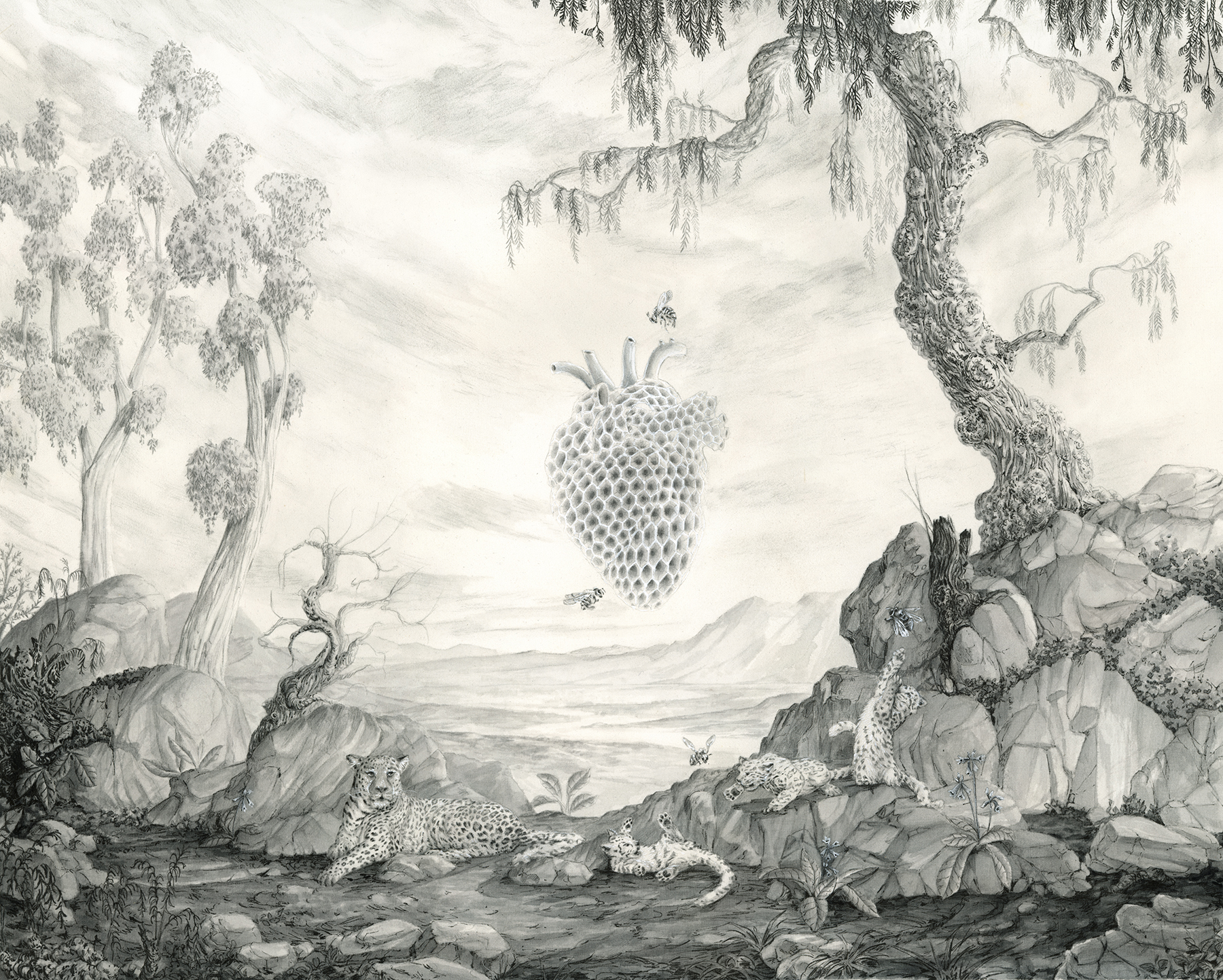 This piece is drawn and painted in grayscale. It depicts an outdoor tableau with foreground rocks and trees framing a distant vista. On the ground a family of leopards play, oversized bees flit around a surreal honeycomb in the shape of a human heart, suspended in the middle ground. This motif I call Sucrelibre.